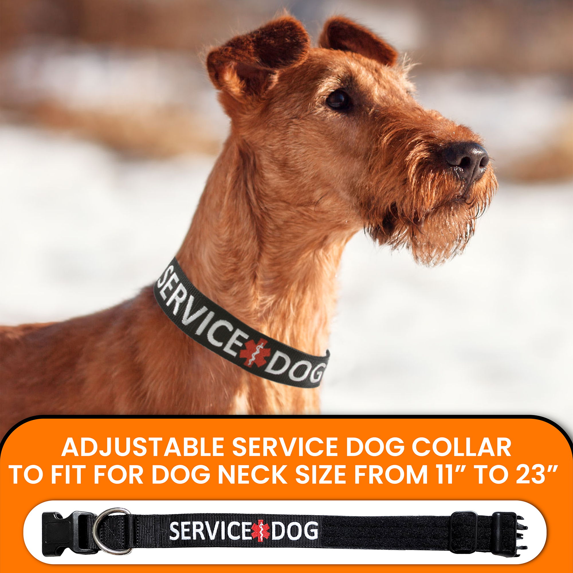 Service dog collar