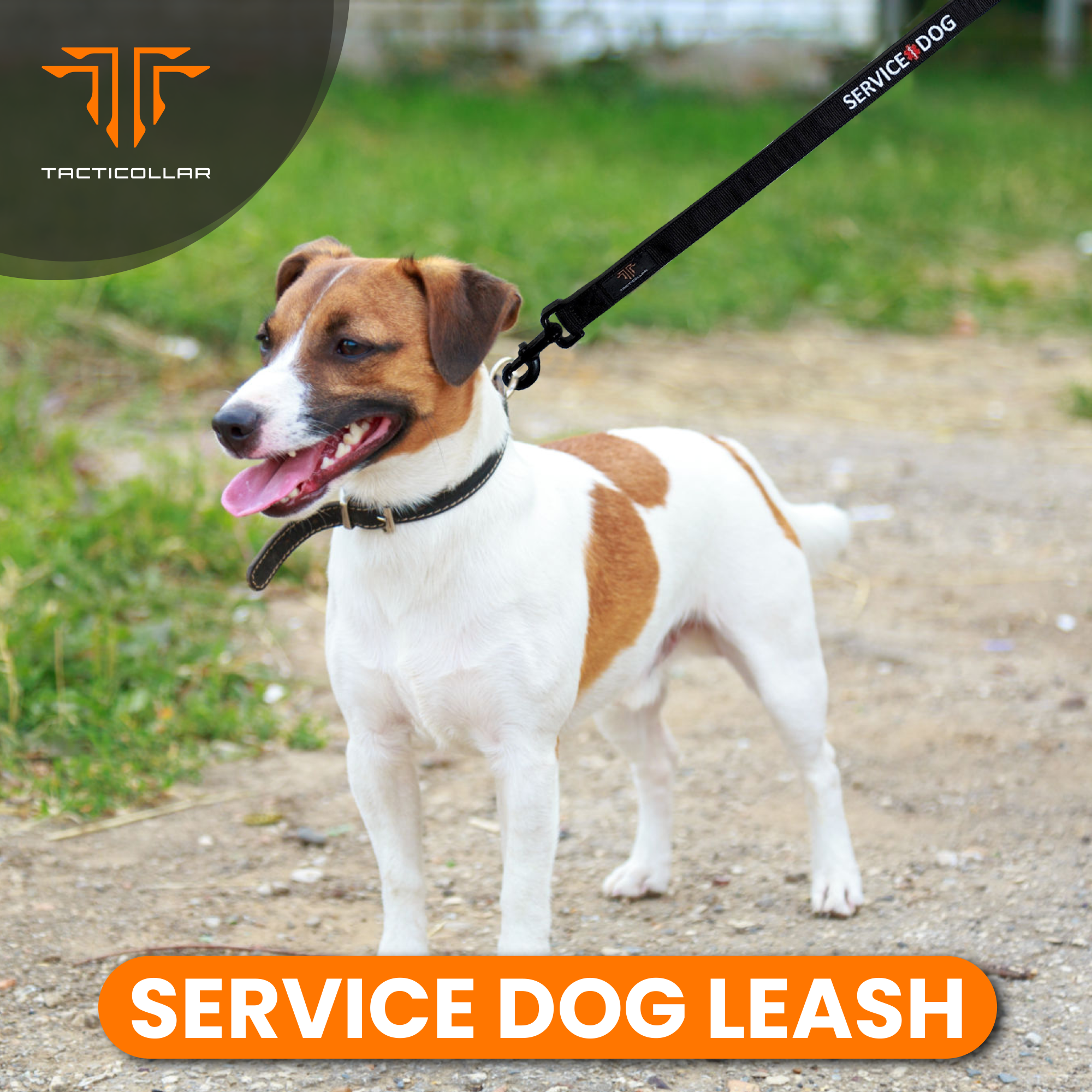 Service dog leash