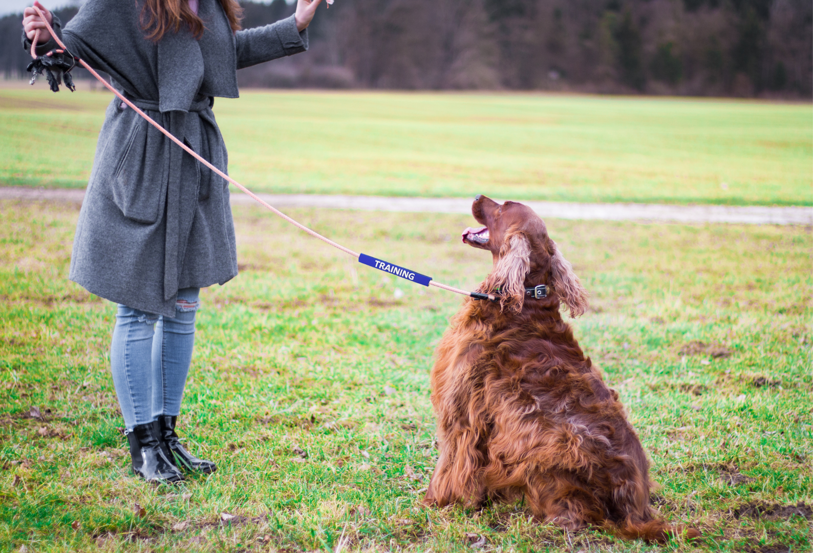 durable, flexible, bright leash sleeves