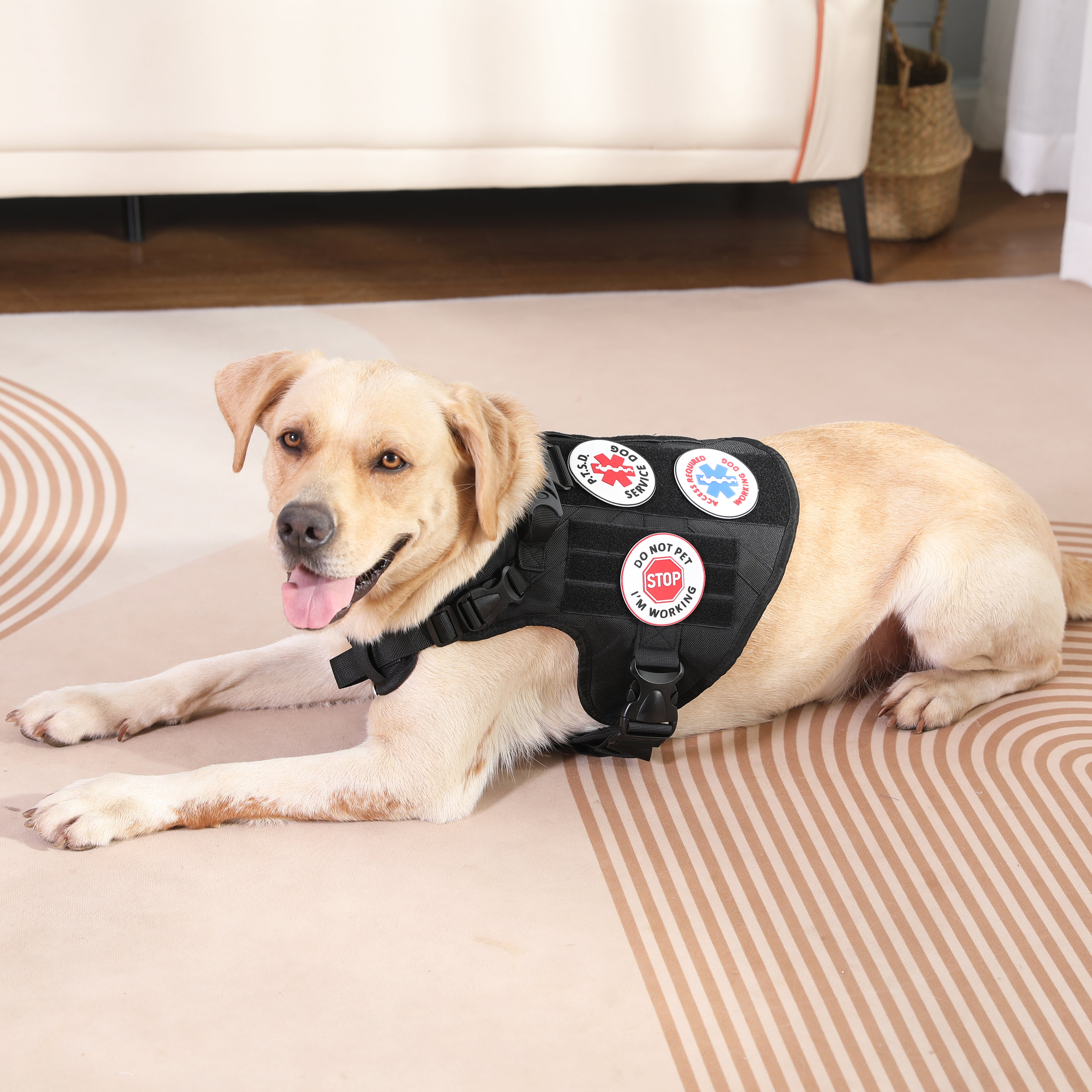 Service dog patches