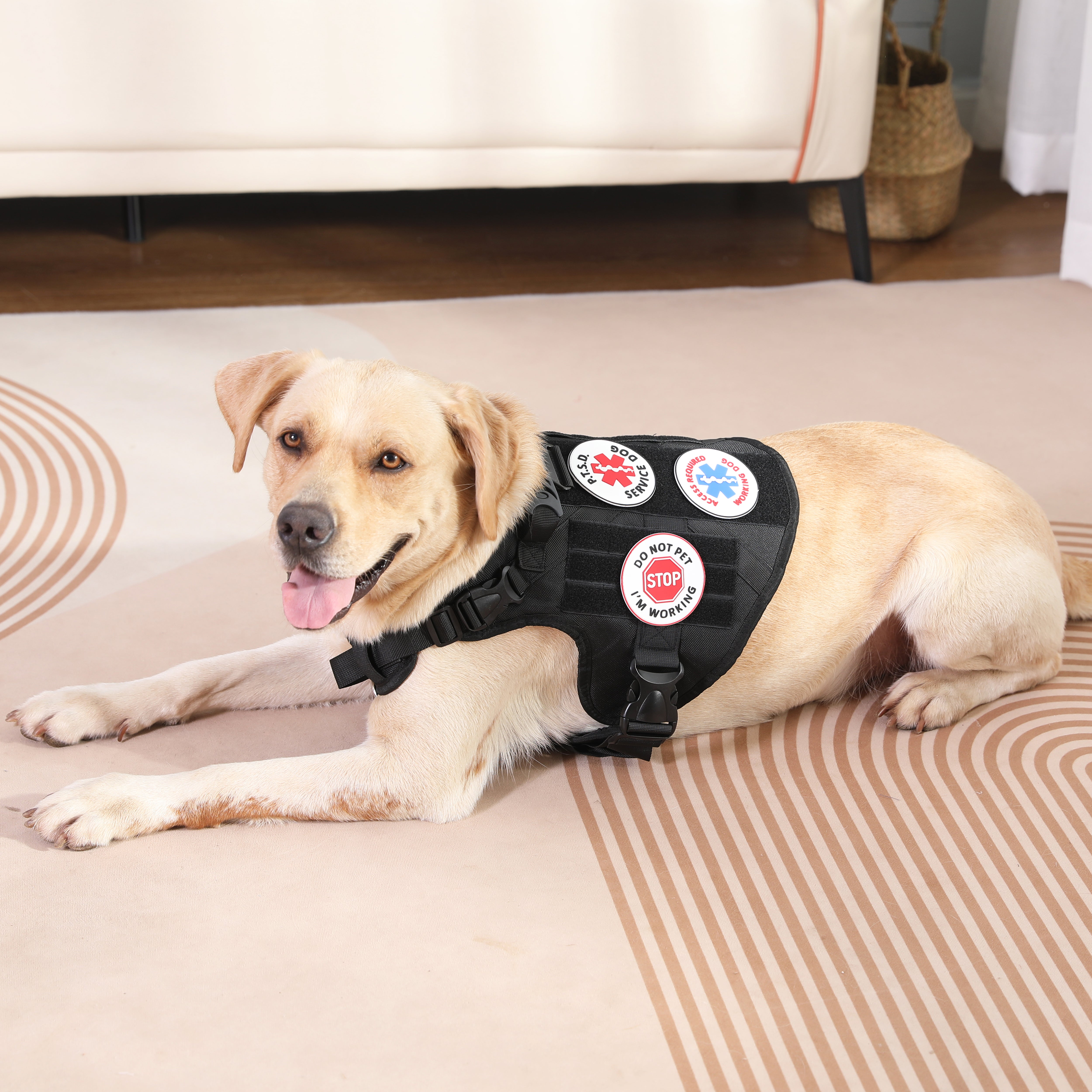 Velcro Patches for Harness - Service Dog, Emotional Support, In