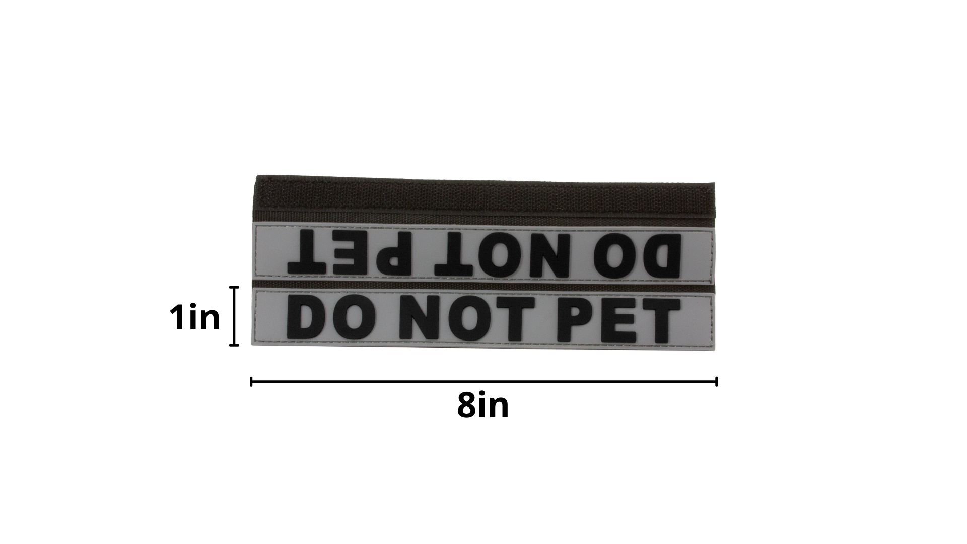 Dog in training sale do not pet