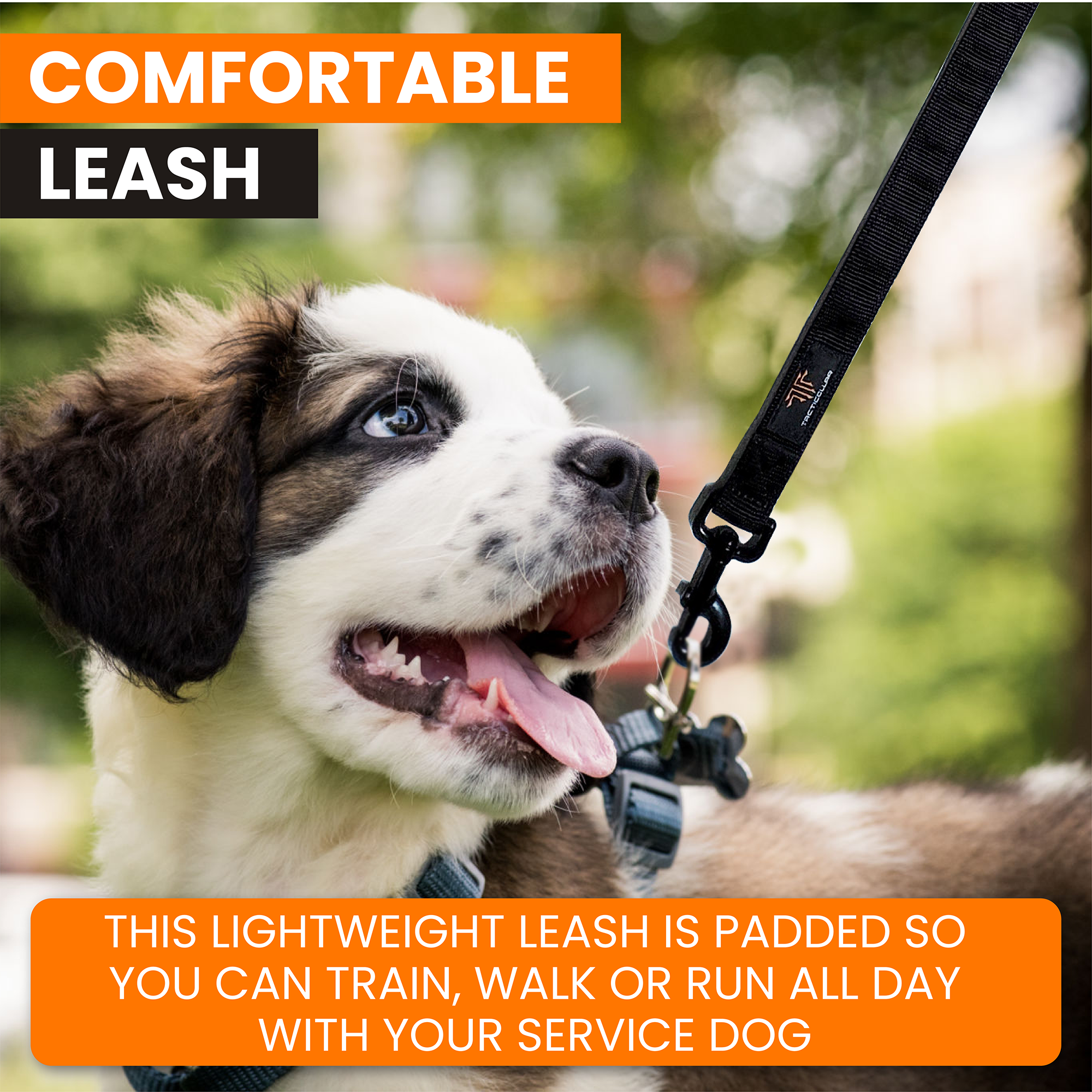 Service dog leash